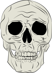 Human Skull by JP