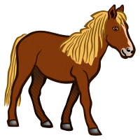 horse - coloured