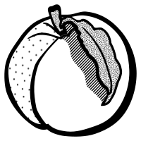 peach - lineart