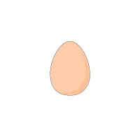 Oeuf / egg