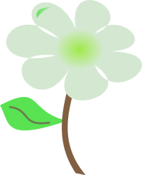 Flor Flower