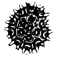 Phytoplankton