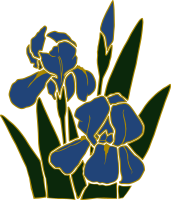 Iris 1