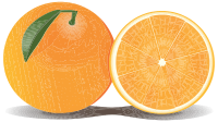 Orange And A Half