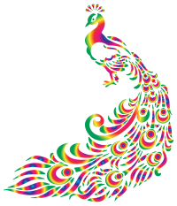 Colorful Peacock 2