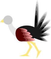 Ostrich