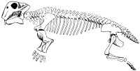 Triassic Period Lystrosaurus