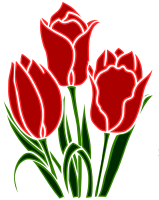 Tulip