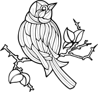 Bird 2