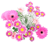 Flower Arrangement