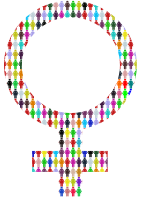 Female Symbol - Multicolour