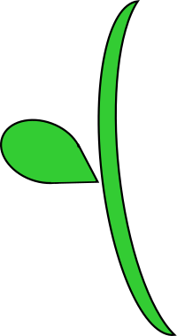 Curvy stem
