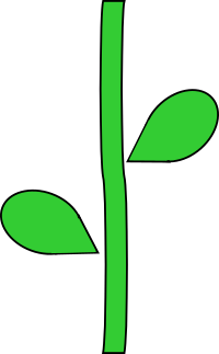 Flower Stem