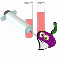 Syringe into veggie