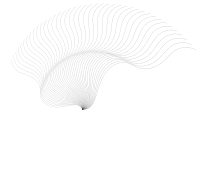 Nautilus Line Art