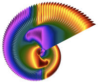 Colorful Nautilus Line Art