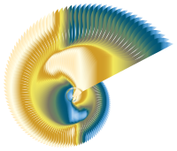 Colorful Nautilus Line Art 2