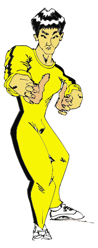 Bruce Lee Kung Fu