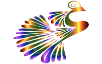 Stylized Peacock Colorful