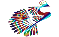 Stylized Peacock Colorful 3
