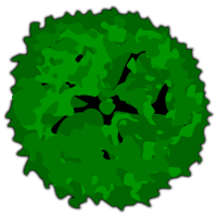 tree-28