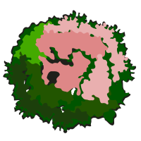 tree-30a