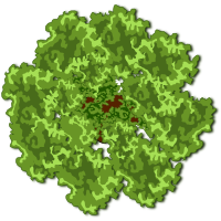 tree-29