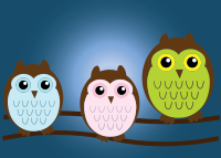 Owl Family