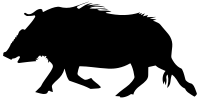 Wild Boar Silhouette
