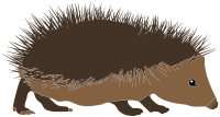 Hedgehog