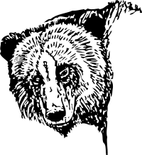 bear head