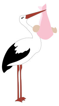 Stork Delivering Baby Girl