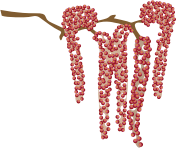Catkin2