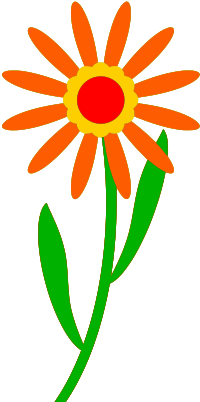 Colourful flower
