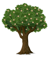 Detailed Tree