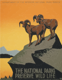 Vintage Travel Poster National Parks America USA