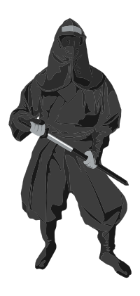 Ninja