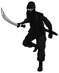 Ninja 4