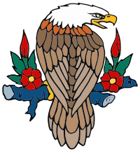 Perched Bald Eagle