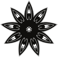 4 Out Of 5 Dentists Recommend This Ninja Star