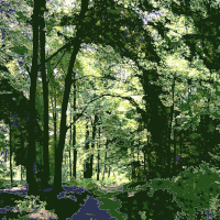 Forest shortcut