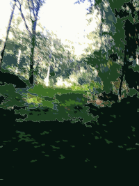 Lichtscheid Forest Again