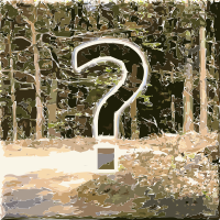 Forest Impressions 3
