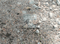 Lichtscheid Forest Again 3