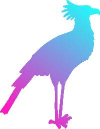 Secretary bird 2