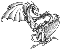Two Dragons Engaged In Battle