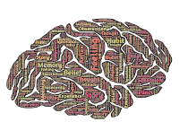 Brain Typography
