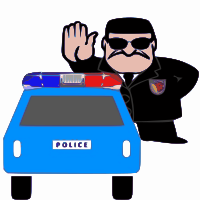 Police discipline branch in action