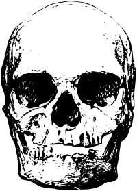 Skull 4
