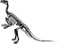 Iguanadon Bernissartensis